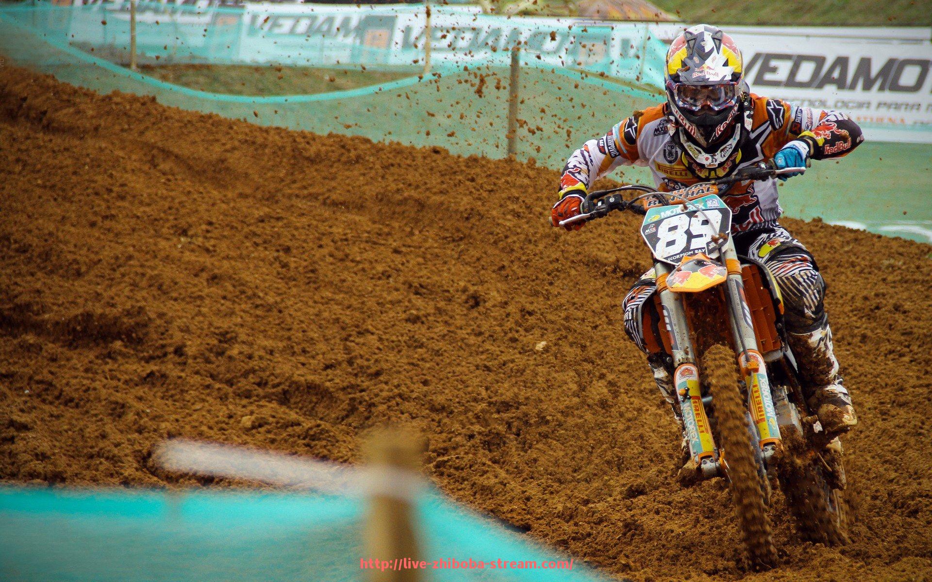 直播吧-2017赛季法甲进球榜球员排名